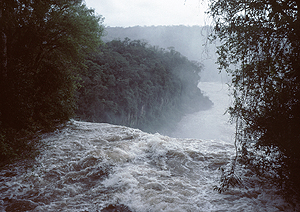 LEICA M6, SUMMICRON 2/50